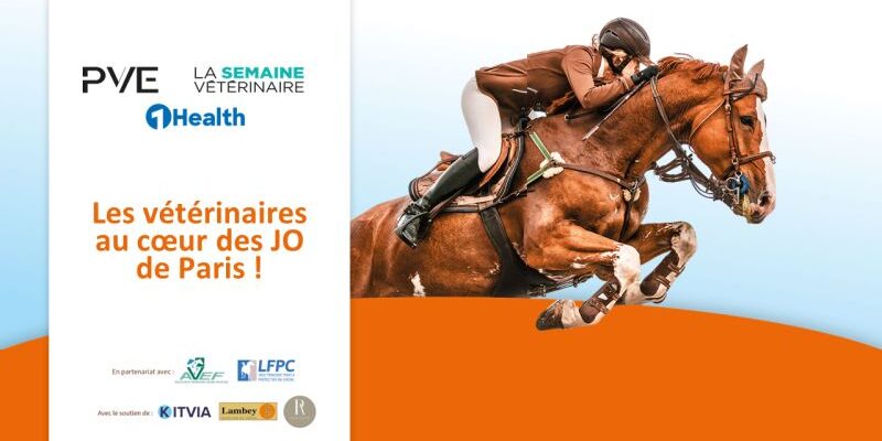 Paris 2024 : La LFPC a été partenaire d’une soirée de présentation de l’encadrement des chevaux durant les jeux Olympiques de Paris 2024