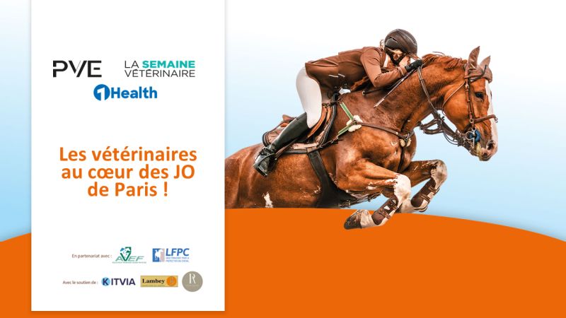 Paris 2024 : La LFPC a été partenaire d’une soirée de présentation de l’encadrement des chevaux durant les jeux Olympiques de Paris 2024