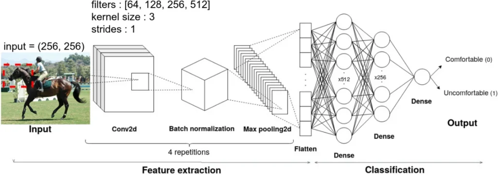 Les chercheurs ont développé un algorithme IA capable de reconnaître des états émotionnels à partir d’images de chevaux montés, en identifiant les micro-expressions et les tensions musculaires faciales.