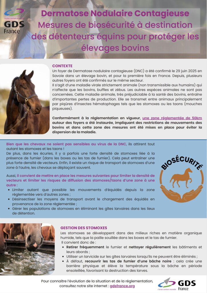 Alors que la dermatose nodulaire contagieuse fait son apparition en France, les détenteurs de chevaux sont appelés à la vigilance.