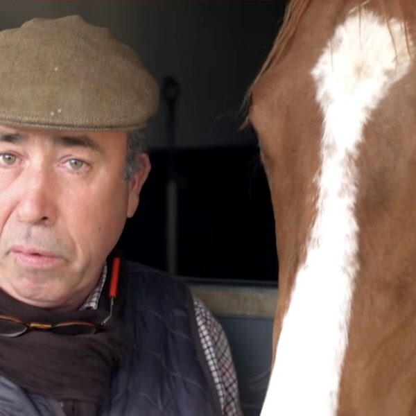 Nicolas Blondeau aura incarné une idée simple, exigeante et bien actuelle : on ne protège durablement le cheval qu’en élevant le niveau de compréhension de l’humain.