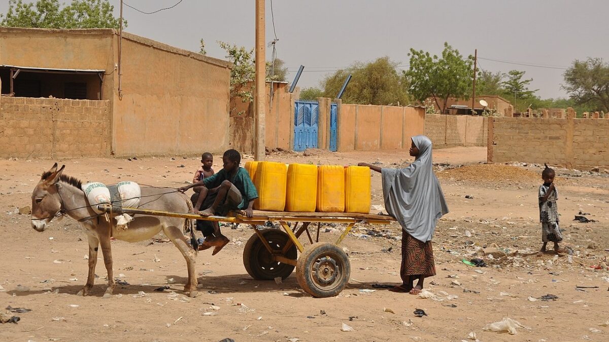 Équidés de travail : un chaînon ignoré de la résilience mondiale face aux catastrophes climatiques
