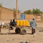 Équidés de travail : un chaînon ignoré de la résilience mondiale face aux catastrophes climatiques