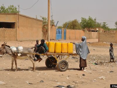 Équidés de travail : un chaînon ignoré de la résilience mondiale face aux catastrophes climatiques