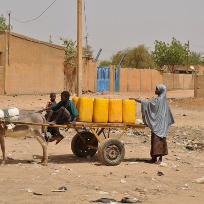 Équidés de travail : un chaînon ignoré de la résilience mondiale face aux catastrophes climatiques