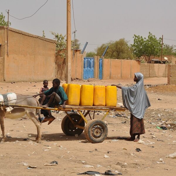 Équidés de travail : un chaînon ignoré de la résilience mondiale face aux catastrophes climatiques