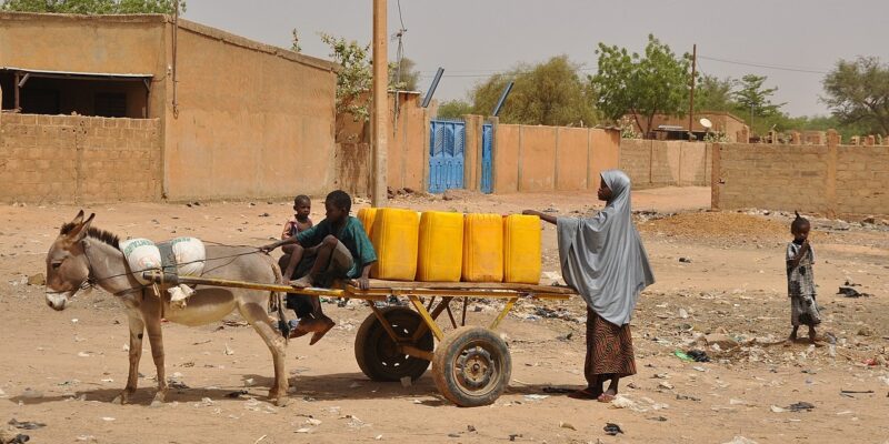Équidés de travail : un chaînon ignoré de la résilience mondiale face aux catastrophes climatiques