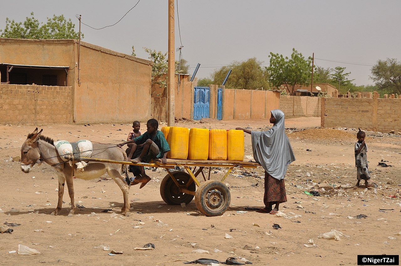 Équidés de travail : un chaînon ignoré de la résilience mondiale face aux catastrophes climatiques