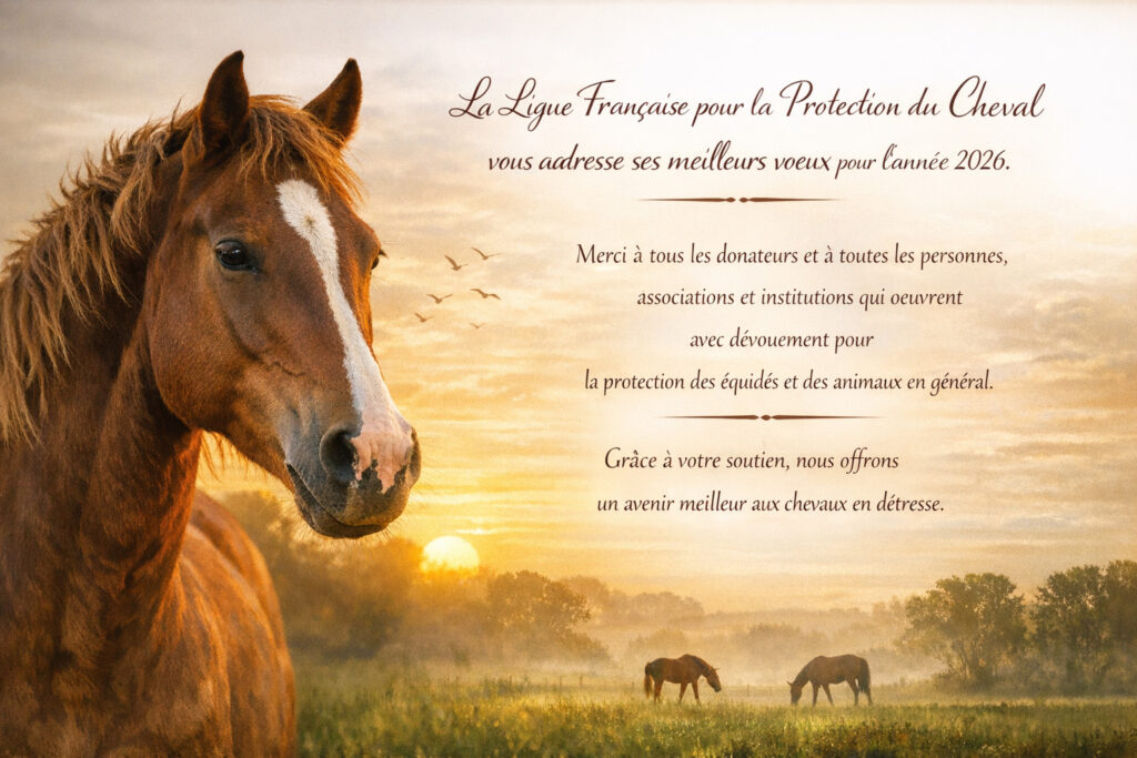 Vœux 2026 de la Ligue française pour la protection du cheval LFPC