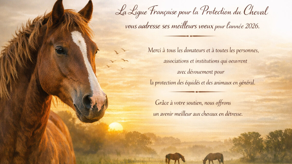 Vœux 2026 de la Ligue française pour la protection du cheval LFPC