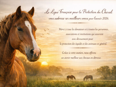 Vœux 2026 de la Ligue française pour la protection du cheval LFPC