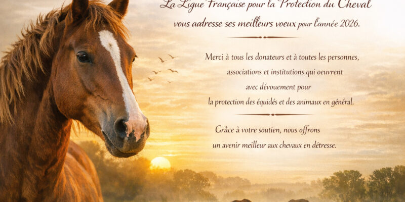 Vœux 2026 de la Ligue française pour la protection du cheval LFPC
