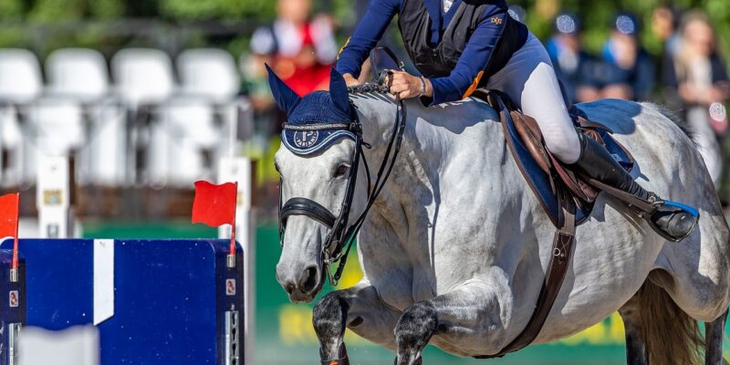 En sport de haut niveau, le respect des 3F n’est pas un luxe : ce sont des leviers fondamentaux pour améliorer le bien-être équin, l’image des sports équestres et potentiellement la durabilité de la performance des chevaux athlètes.