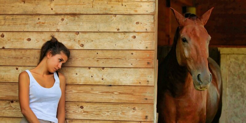 Depuis 2010, toute personne physique ou morale qui héberge des équidés doit se déclarer auprès de l’Institut Français du Cheval et de l’Equitation (Ifce), et ce dès le premier équidé accueilli