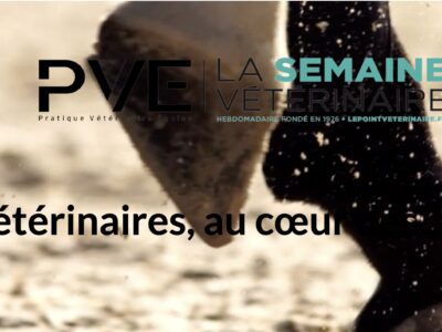 La LFPC est partenaire de la revue Pratique vétérinaire équine lors d’un événement qui a lieu demain, tout juste un mois avant les épreuves olympiques au château de Versailles