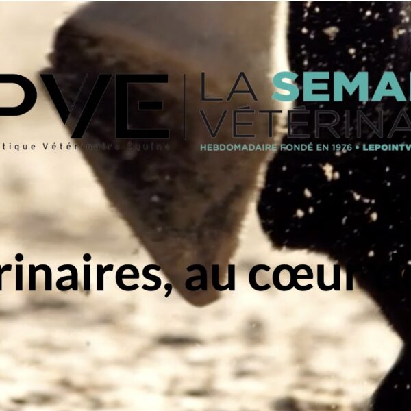 La LFPC est partenaire de la revue Pratique vétérinaire équine lors d’un événement qui a lieu demain, tout juste un mois avant les épreuves olympiques au château de Versailles