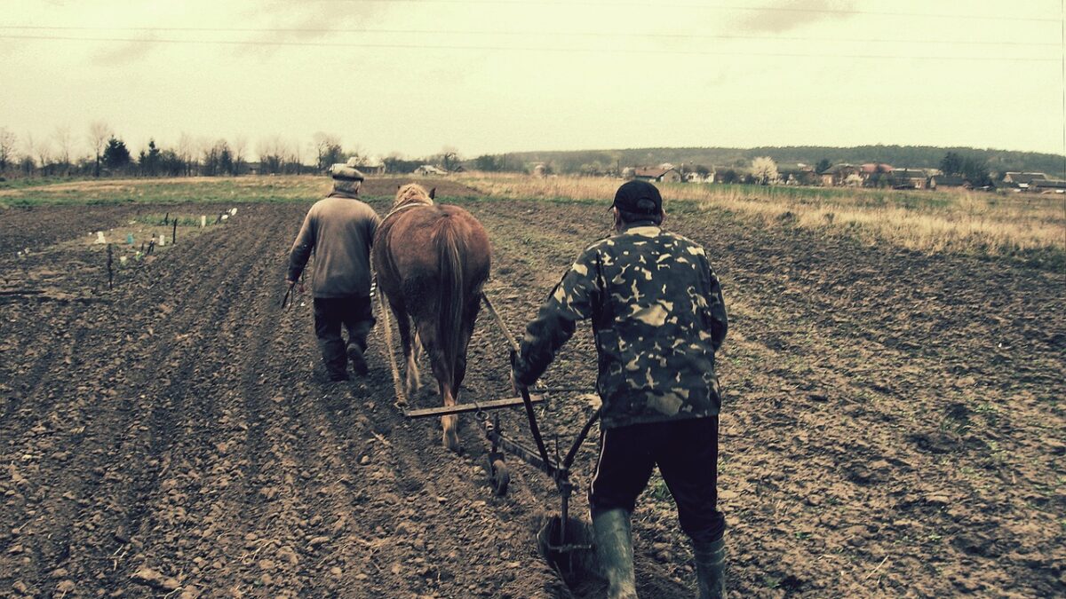 Domestication, comportement, “welfare domains” et équitation moderne : une lecture scientifique de la relation homme-cheval, entre bénéfices potentiels et limites des preuves.