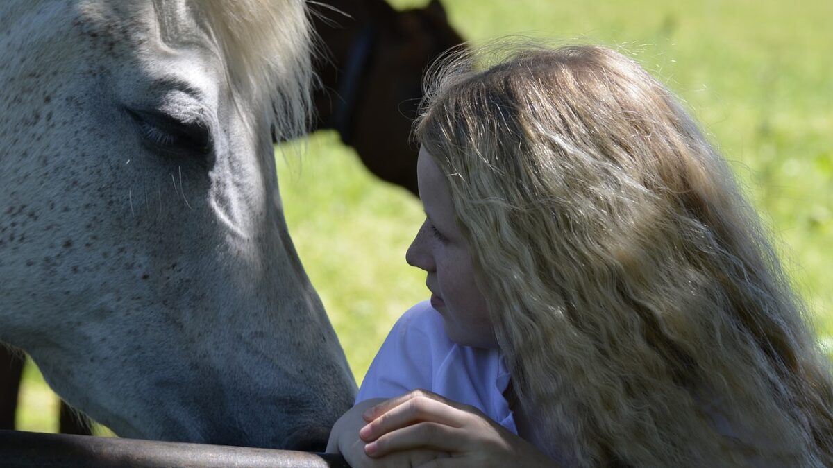 Émotions : les chevaux savent distinguer la tristesse de la joie chez l’homme