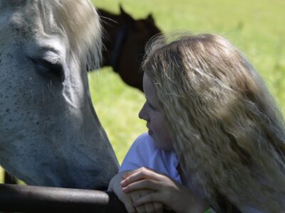 Émotions : les chevaux savent distinguer la tristesse de la joie chez l’homme