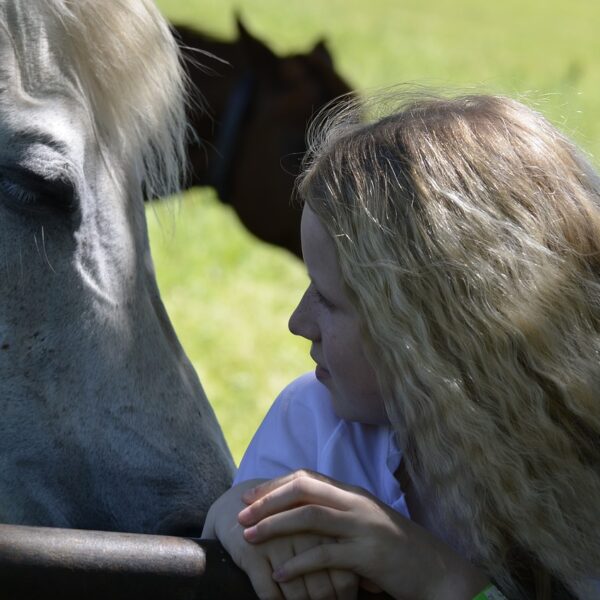 Émotions : les chevaux savent distinguer la tristesse de la joie chez l’homme