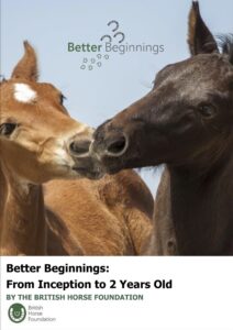 La British Horse Foundation publie un guide sur la prise en charge du jeune cheval