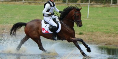 Un article paru dans La Dépêche vétérinaire fait le point sur la présence vétérinaire durant les épreuves équestres des jeux Olympiques et Paralympiques de Paris qui se dérouleront cet été dans le parc du château de Versailles (Yvelines). Une équipe complète et unique de plus de 80 vétérinaires sera mobilisée pour intervenir en cas de besoin.