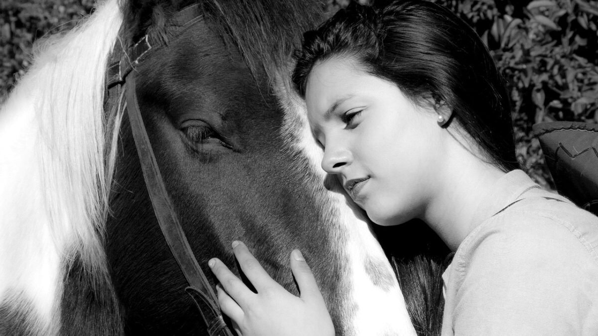 La mise en place d’un programme sérieux d'équithérapie ne s’improvise pas. C’est ce que rappelle une fiche technique récemment publiée