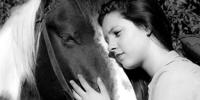 La mise en place d’un programme sérieux d'équithérapie ne s’improvise pas. C’est ce que rappelle une fiche technique récemment publiée