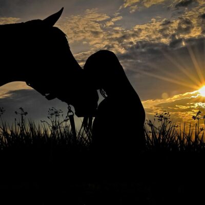 Vet direct Safety Net : Aux États-Unis, devoir se séparer de son cheval, de son poney ou de son âne en raison de problèmes financiers n’est plus une fatalité