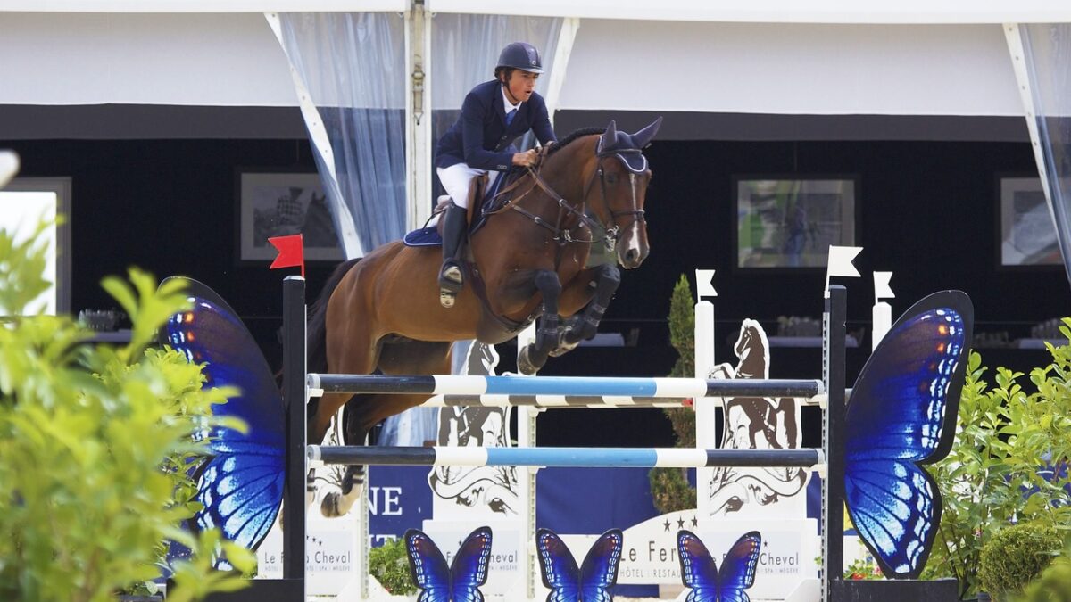 Un comité dédié au bien-être des équidés a été mis en place par GL Events Equestrian Sport, la société organisatrice du salon Equita Lyon et des épreuves équestres aux jeux Olympiques et Paralympiques de Paris