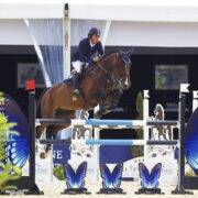 Un comité dédié au bien-être des équidés a été mis en place par GL Events Equestrian Sport, la société organisatrice du salon Equita Lyon et des épreuves équestres aux jeux Olympiques et Paralympiques de Paris