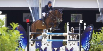 Un comité dédié au bien-être des équidés a été mis en place par GL Events Equestrian Sport, la société organisatrice du salon Equita Lyon et des épreuves équestres aux jeux Olympiques et Paralympiques de Paris