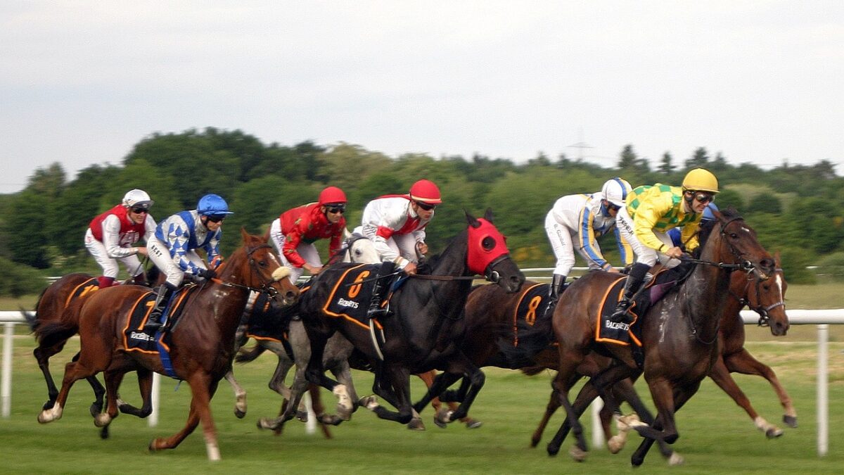 En Irlande, la filière hippique sommée de prendre en compte le bien-être des chevaux de course