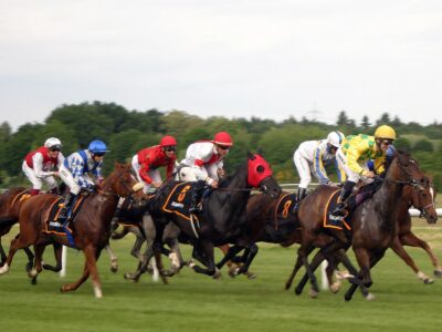 En Irlande, la filière hippique sommée de prendre en compte le bien-être des chevaux de course