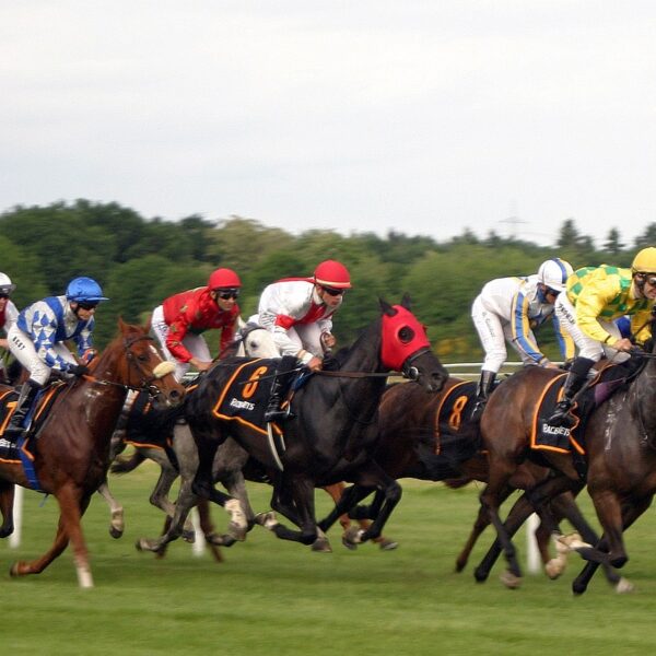 En Irlande, la filière hippique sommée de prendre en compte le bien-être des chevaux de course