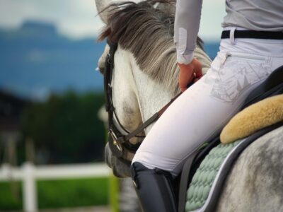 Bien-être du cheval en Europe : vers la création d’un référentiel européen harmonisé ?