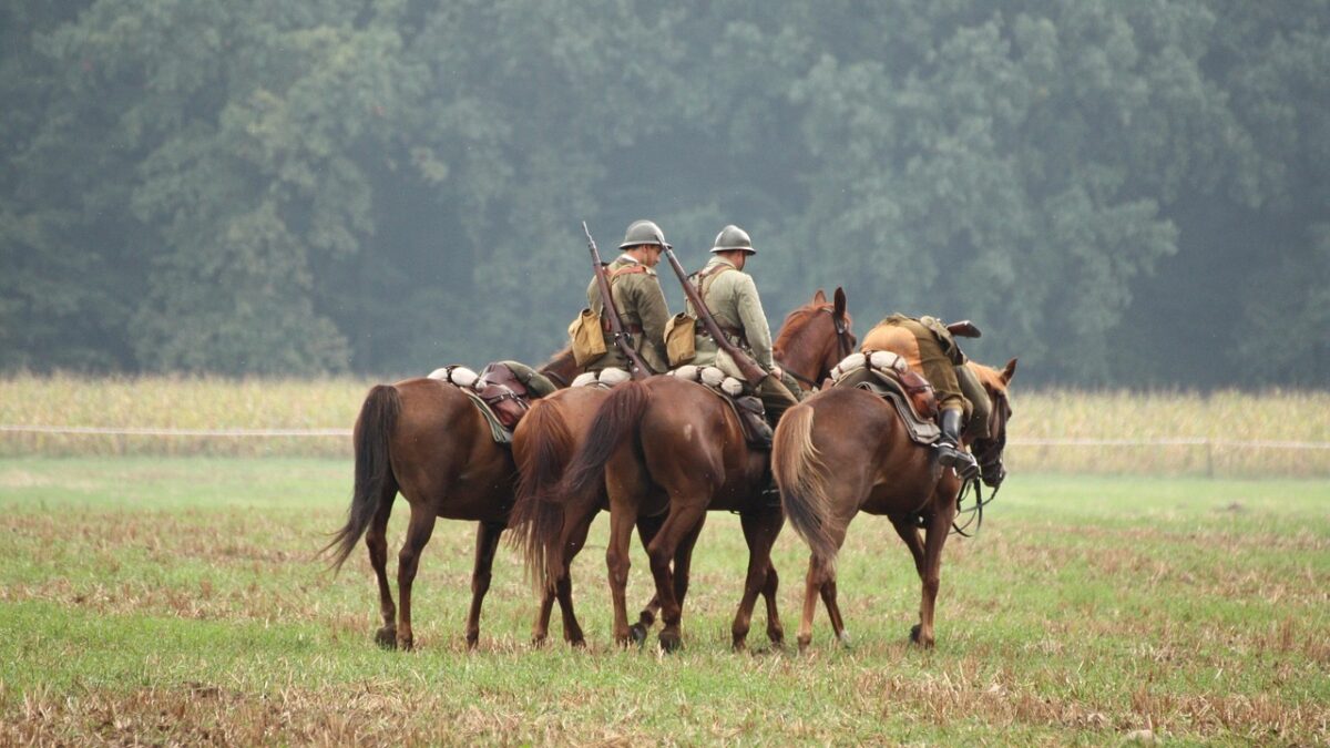 Une étude de l’université d’Utrecht montre que la médiation équine à visée thérapeutique avec des vétérans atteints de troubles de stress post-traumatique n’induit aucun signe objectif de détresse chez les chevaux thérapeutes.