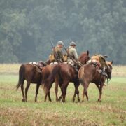 Une étude de l’université d’Utrecht montre que la médiation équine à visée thérapeutique avec des vétérans atteints de troubles de stress post-traumatique n’induit aucun signe objectif de détresse chez les chevaux thérapeutes.