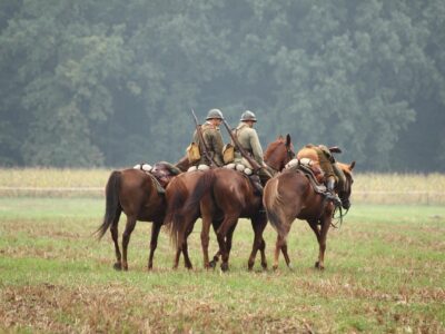 Une étude de l’université d’Utrecht montre que la médiation équine à visée thérapeutique avec des vétérans atteints de troubles de stress post-traumatique n’induit aucun signe objectif de détresse chez les chevaux thérapeutes.