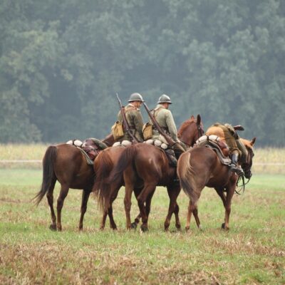 Une étude de l’université d’Utrecht montre que la médiation équine à visée thérapeutique avec des vétérans atteints de troubles de stress post-traumatique n’induit aucun signe objectif de détresse chez les chevaux thérapeutes.