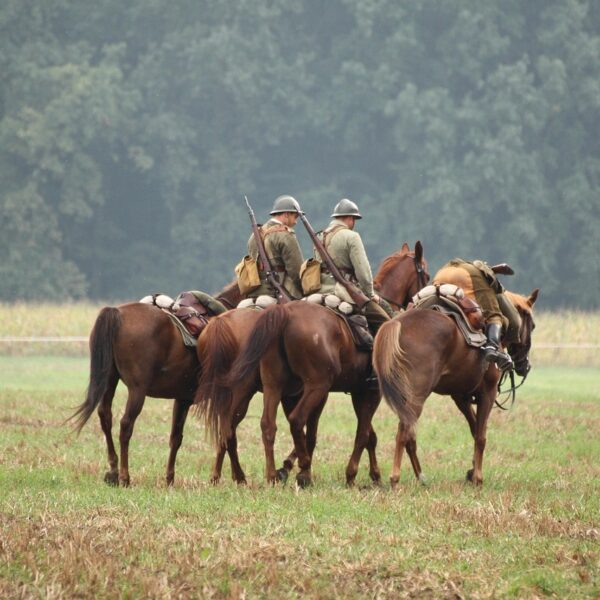Une étude de l’université d’Utrecht montre que la médiation équine à visée thérapeutique avec des vétérans atteints de troubles de stress post-traumatique n’induit aucun signe objectif de détresse chez les chevaux thérapeutes.