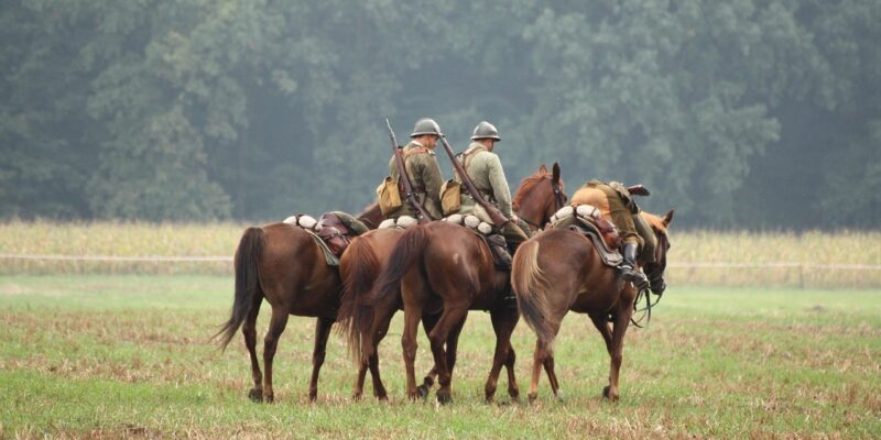 Une étude de l’université d’Utrecht montre que la médiation équine à visée thérapeutique avec des vétérans atteints de troubles de stress post-traumatique n’induit aucun signe objectif de détresse chez les chevaux thérapeutes.