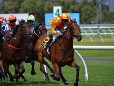 Blessures: les fractures, les boiteries et les lésions tendineuses ne surviennent pas brutalement, mais résultent d’une fatigue musculaire et osseuse cumulative