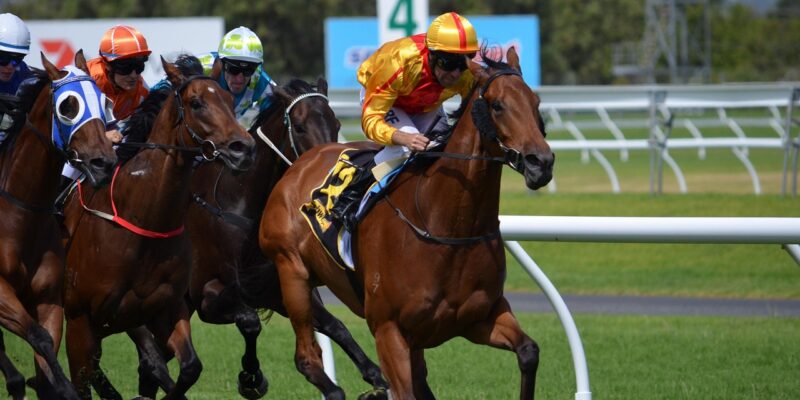 Blessures: les fractures, les boiteries et les lésions tendineuses ne surviennent pas brutalement, mais résultent d’une fatigue musculaire et osseuse cumulative