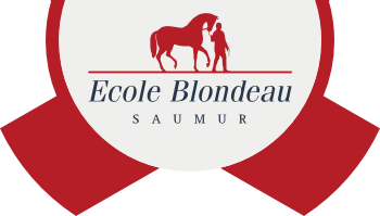 Nicolas Blondeau aura incarné une idée simple, exigeante et bien actuelle : on ne protège durablement le cheval qu’en élevant le niveau de compréhension de l’humain.