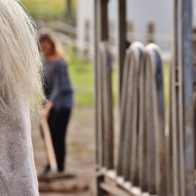 Le bien-être du cheval ne se joue pas seulement sur les terrains de sport ou dans les cliniques vétérinaires. Il se construit, jour après jour, selon les options choisies par son détenteur en matière de logement, d’alimentation et d’activité.