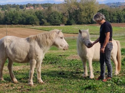 Patience est une jolie ponette, du moins aujourd’hui car, avant d’être prise en charge, elle n’était que l’ombre d’elle-même