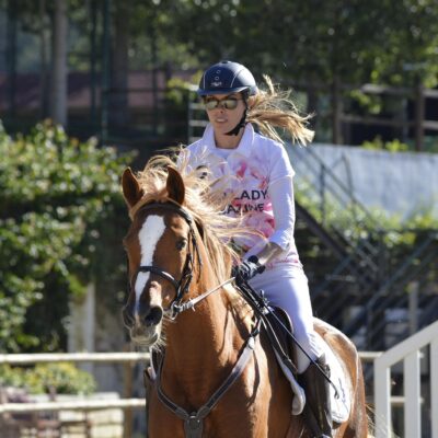 La FEI crée une task force multidisciplinaire pour revoir les protocoles de bien-être équin, harmoniser les règles entre les disciplines et clarifier les décisions liées aux traces de sang sur le cheval.
