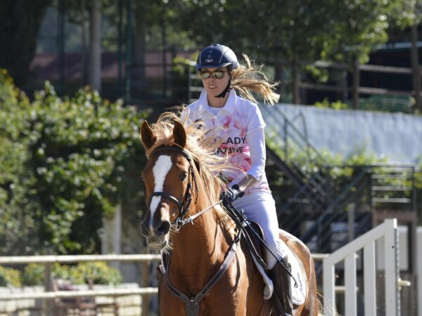 La FEI crée une task force multidisciplinaire pour revoir les protocoles de bien-être équin, harmoniser les règles entre les disciplines et clarifier les décisions liées aux traces de sang sur le cheval.