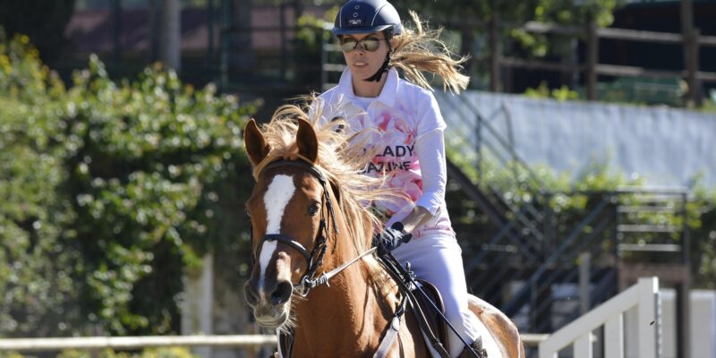 La FEI crée une task force multidisciplinaire pour revoir les protocoles de bien-être équin, harmoniser les règles entre les disciplines et clarifier les décisions liées aux traces de sang sur le cheval.